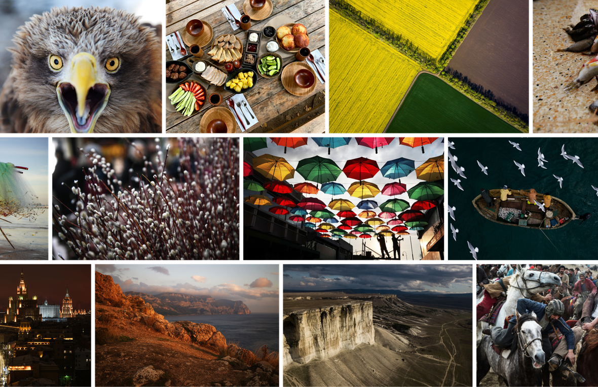 Стоковые фото мозаика Стоковые фото мозаика - “今日俄罗斯”国际通讯社, 1180, 25.02.2026