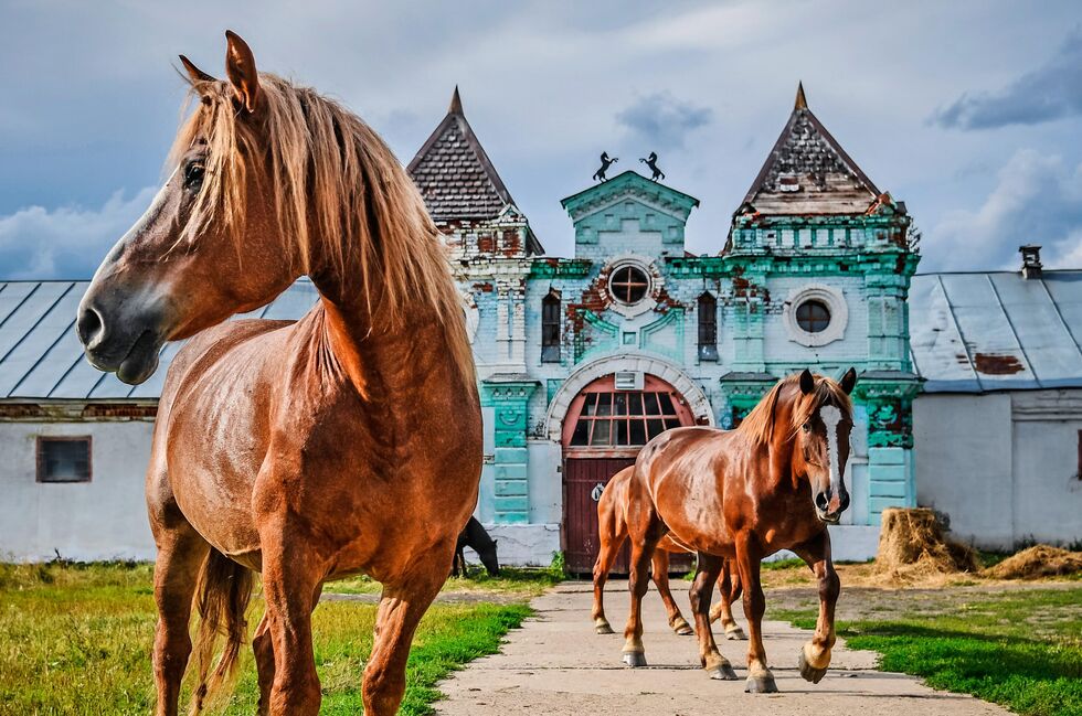 Для страницы Реклама и Спецпроекты. Анонс Фотопроекты Для страницы Реклама и Спецпроекты. Анонс Фотопроекты - “今日俄罗斯”国际通讯社, 980